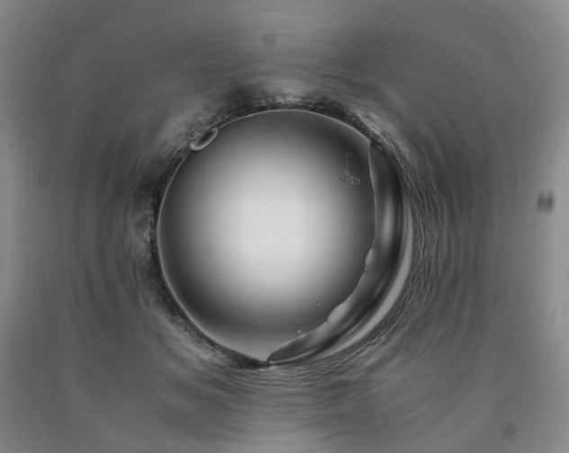 X0000090880509200707271314