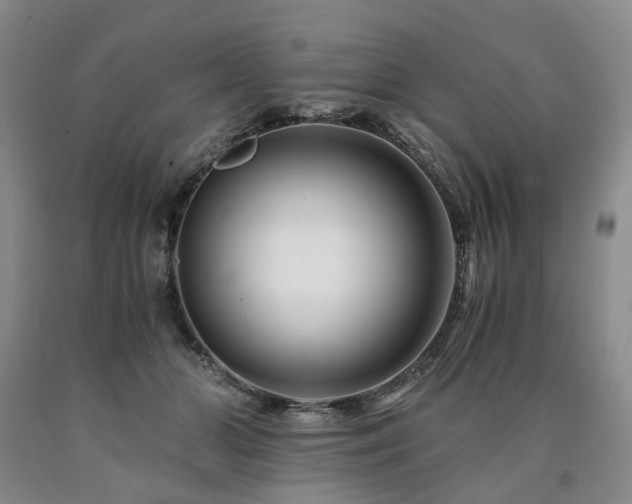 X0000090880510200707271314