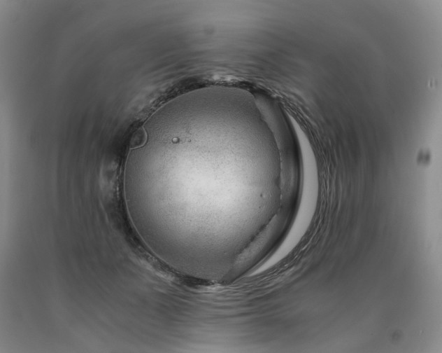 X0000090880511200707271314