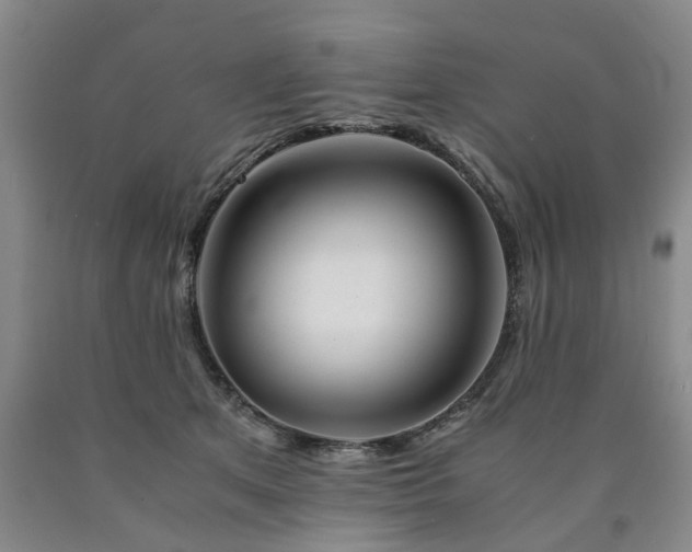X0000090880513200707271314