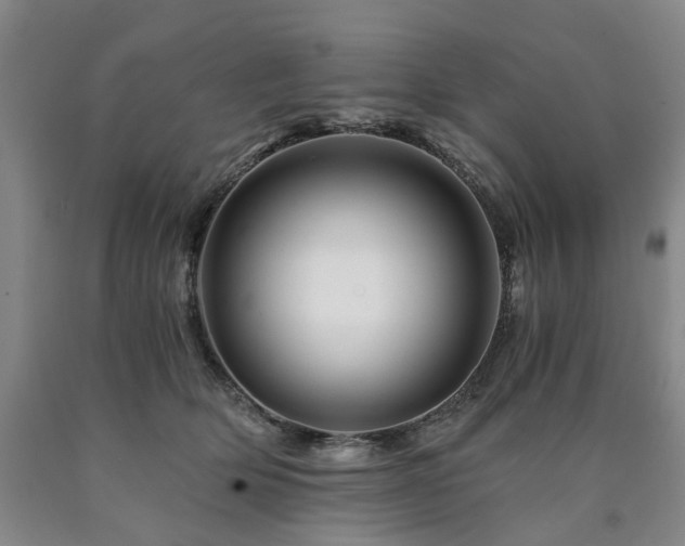 X0000090880514200707271314