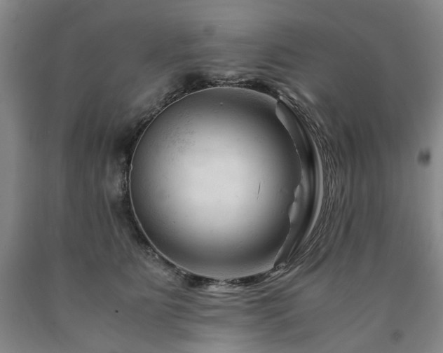 X0000090880515200707271314