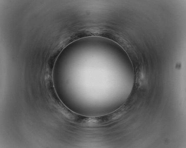 X0000090880518200707271314
