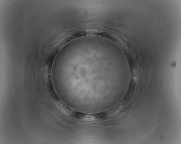 X0000090880519200707271314