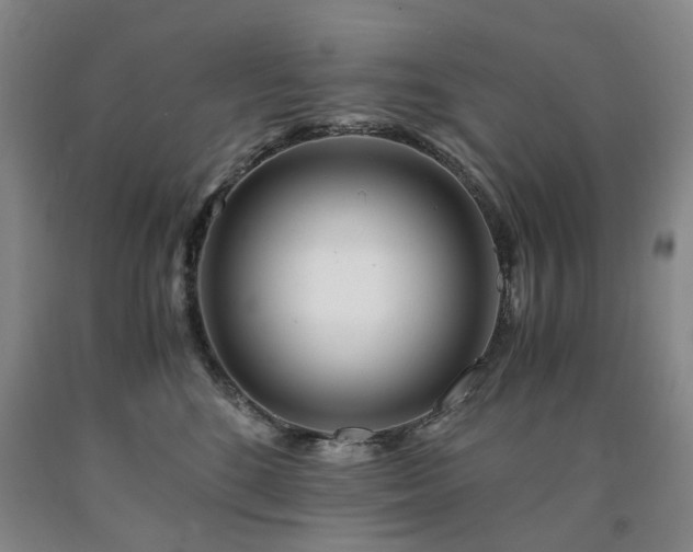X0000090880520200707271314