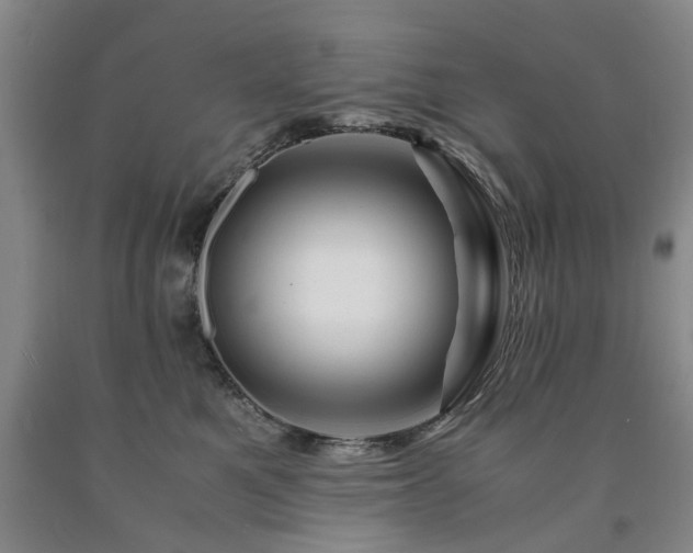 X0000090880521200707271314