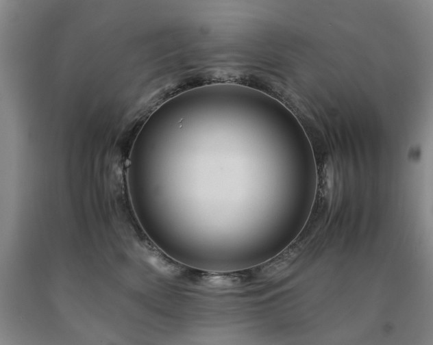 X0000090880522200707271314