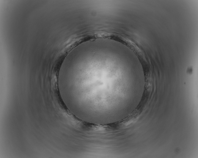 X0000090880523200707271314