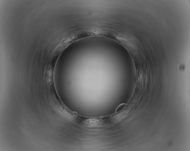 X0000090880526200707271314