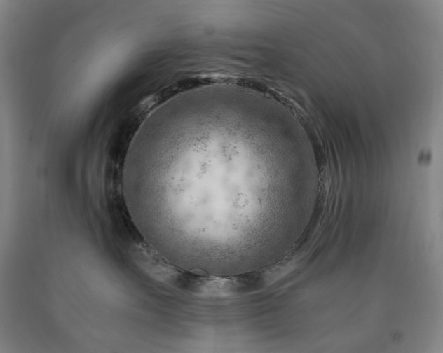 X0000090880527200707271314