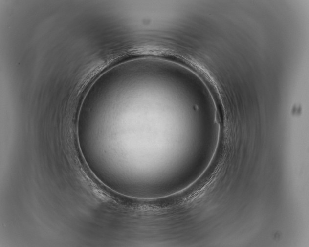 X0000090880529200707271313