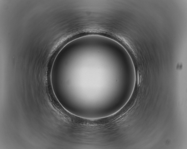 X0000090880531200707271313