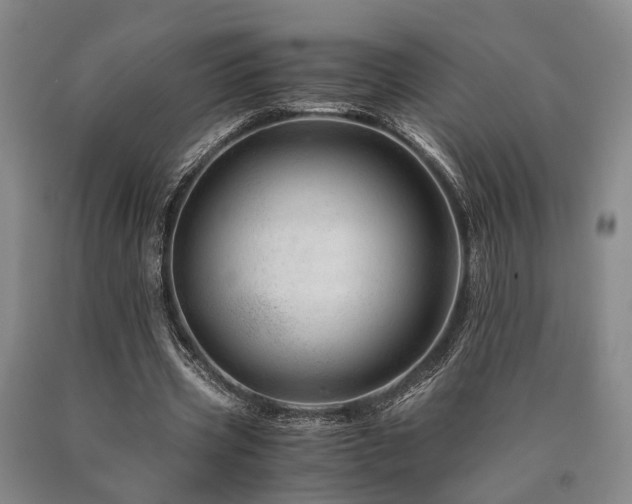 X0000090880533200707271313