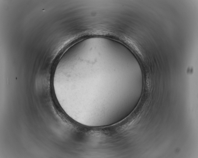 X0000090880534200707271313