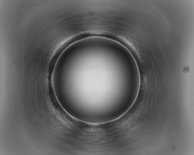 X0000090880535200707271313