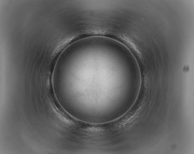 X0000090880537200707271313