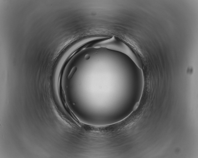 X0000090880538200707271313