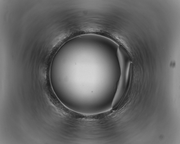 X0000090880539200707271313