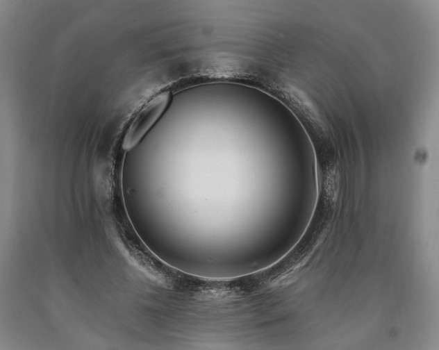 X0000090880540200707271313