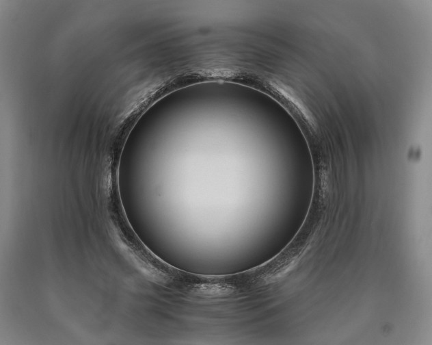 X0000090880541200707271313