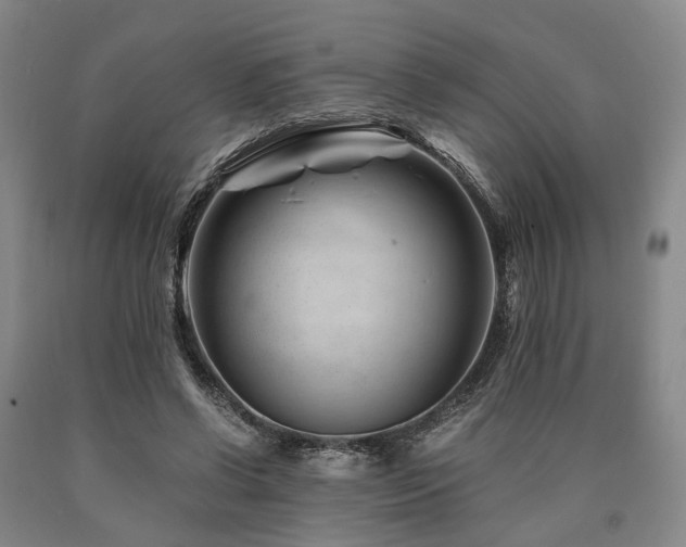 X0000090880542200707271313
