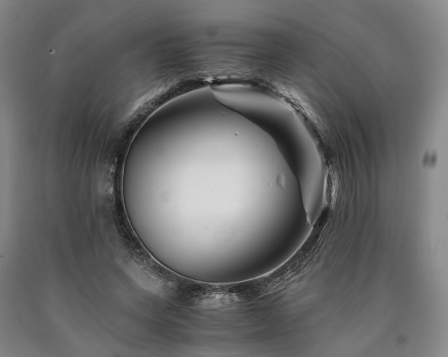 X0000090880543200707271313