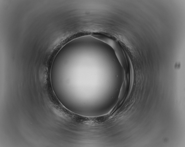 X0000090880544200707271313