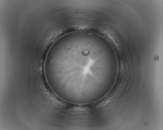 X0000090880545200707271313