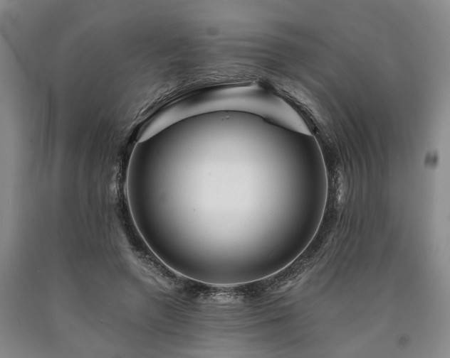 X0000090880546200707271313