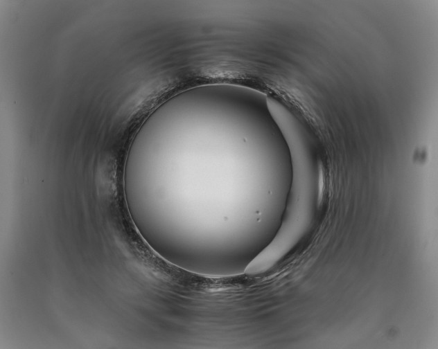 X0000090880547200707271313