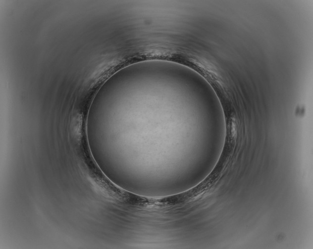 X0000090880550200707271313