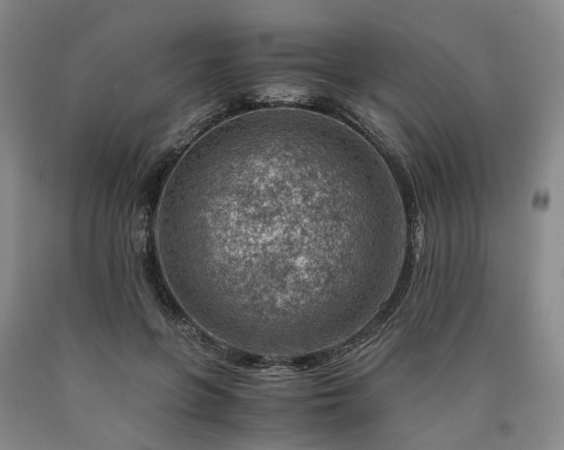 X0000090880551200707271313