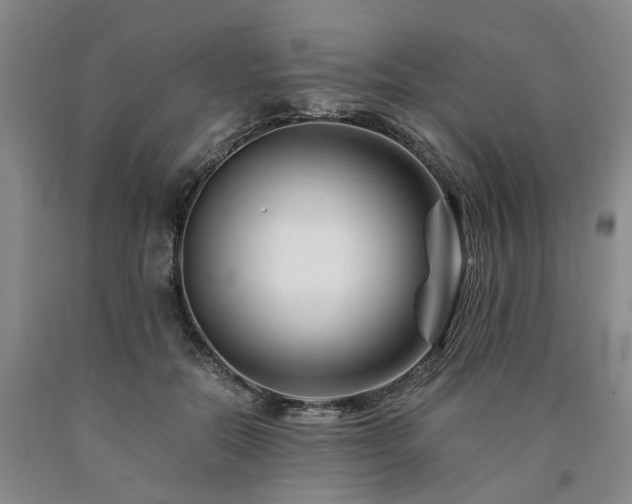 X0000090880554200707271313