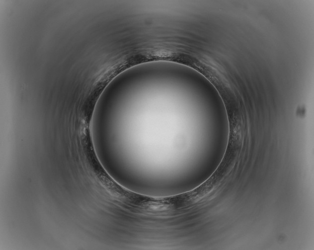 X0000090880555200707271313