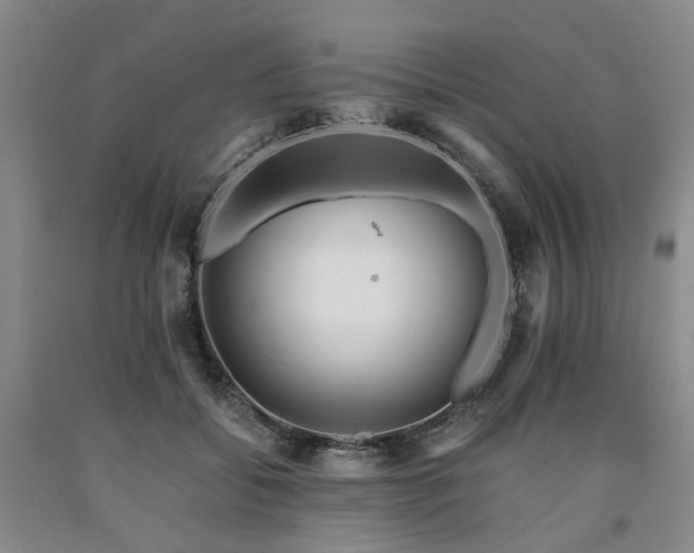 X0000090880556200707271314