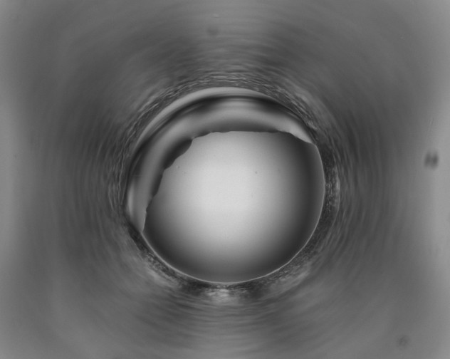 X0000090880558200707271314