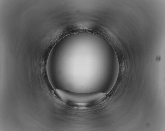 X0000090880559200707271314