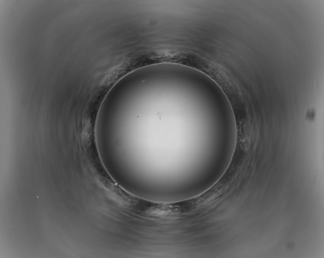 X0000090880563200707271314