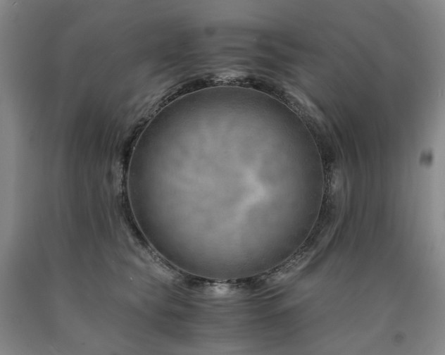 X0000090880565200707271314