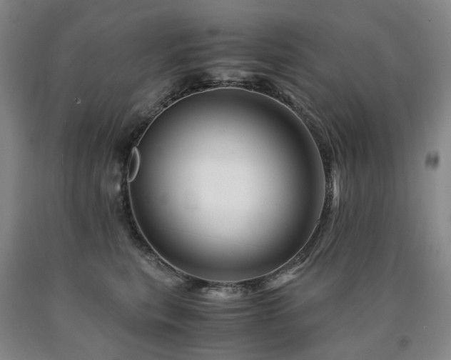 X0000090880567200707271314