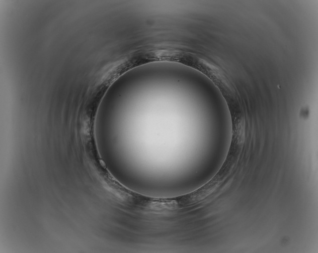 X0000090880571200707271314