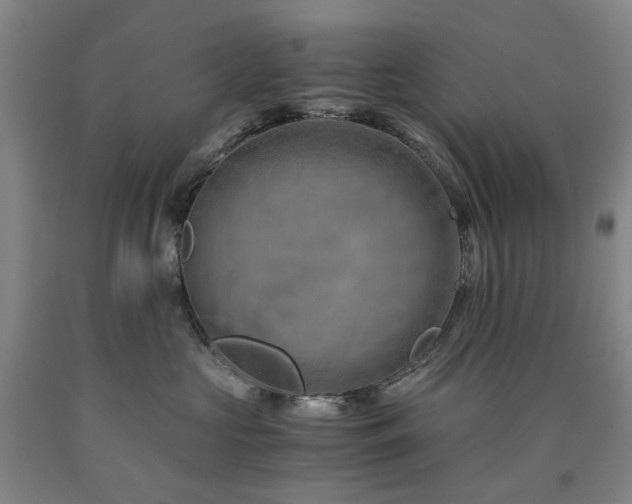 X0000090880573200707271314