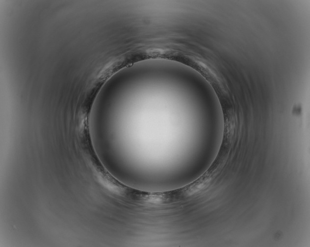 X0000090880574200707271314