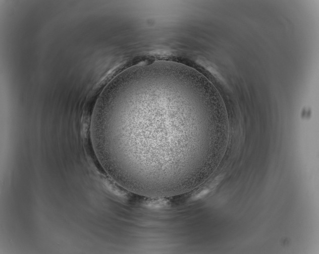 X0000090880576200707271314