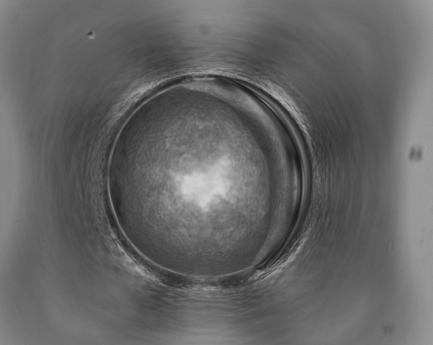 X0000090880577200707271313