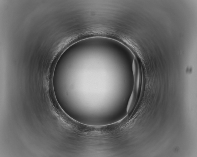 X0000090880578200707271313