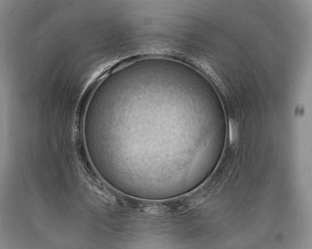 X0000090880579200707271313
