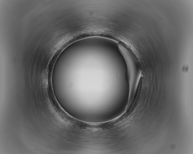 X0000090880582200707271313