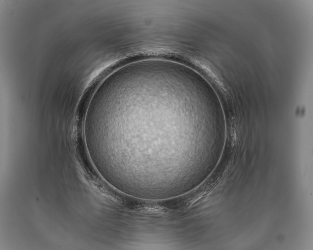 X0000090880583200707271313