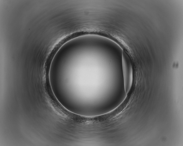X0000090880584200707271313